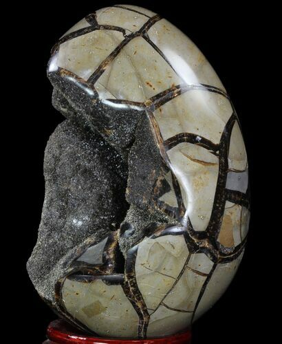 Septarian Dragon Egg Geode - Black Crystals #89567